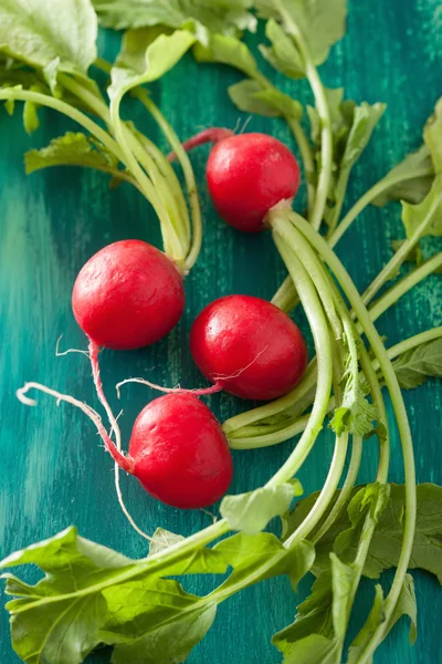 Fresh radish with leaves over green background — Stock Photo, Image