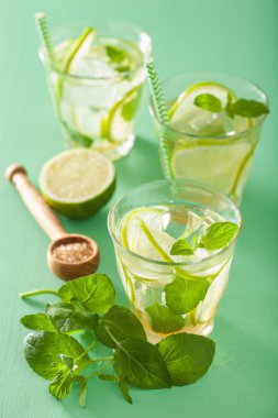 Mojito kokteyl ve malzemeler üzerinde yeşil arka plan