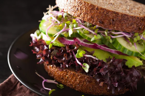 Avocado komkommer sandwich met ui en radijs spruiten — Stockfoto