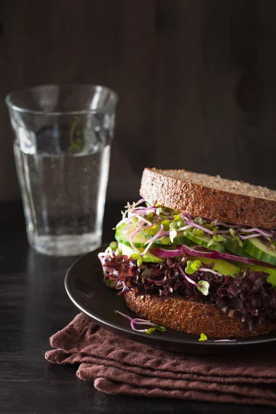 Avocado komkommer sandwich met ui en radijs spruiten — Stockfoto