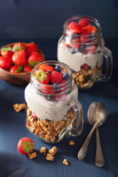 Zelfgemaakte muesli en chia zaad pudding met berry gezonde breakf — Stockfoto