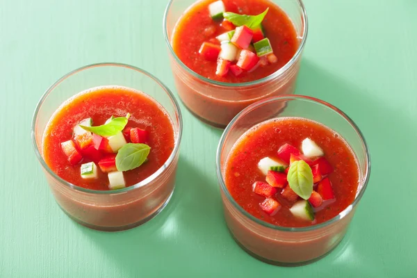 Studené gazpacho rajská polévka v brýlích — Stock fotografie