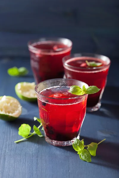 Refreshing blueberry drink with lime and mint — Stock Photo, Image