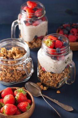 berry sağlıklı kahvaltı ile ev yapımı granola ve chia tohum puding