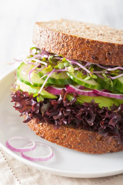 Avocado komkommer sandwich met ui en radijs spruiten — Stockfoto