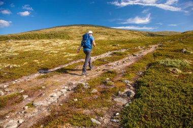 uzun yürüyüşe çıkan kimse Dovre Norveç dağlarında seyahat sırt çantası ile