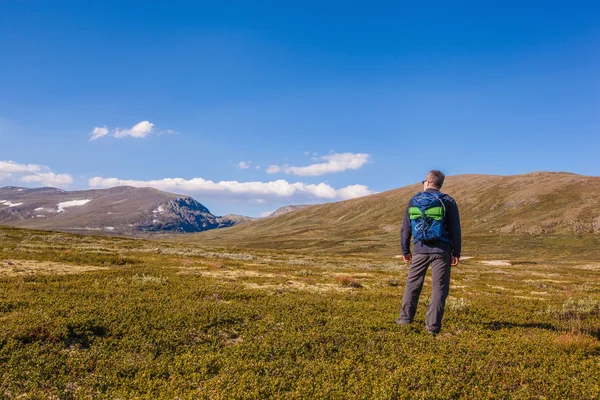Excursionista con mochila viajando en Noruega montañas Dovrefjell — Foto de Stock