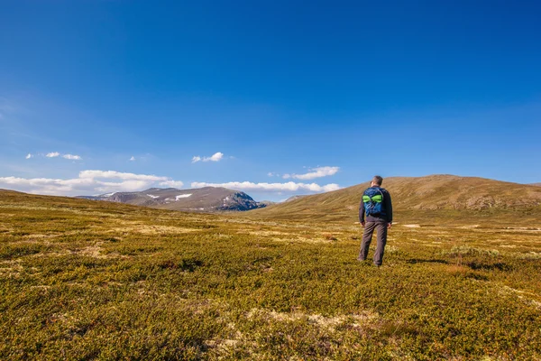Wandelaar met rugzak reizen in Noorwegen bergen Dovrefjell — Stockfoto