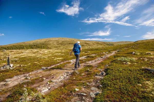 Excursionista con mochila viajando por Noruega montañas Dovre — Foto de Stock