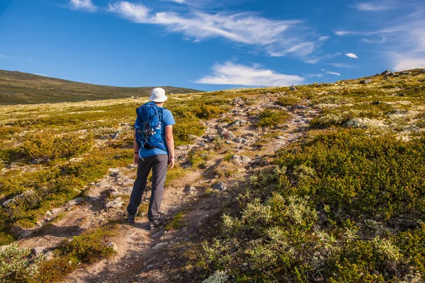 Excursionista con mochila viajando por Noruega montañas Dovre — Foto de Stock