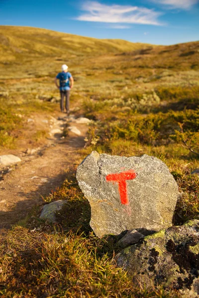 T teken op rock en wandelaar met rugzak reizen in Noorwegen mount — Stockfoto