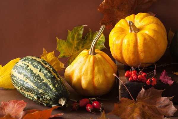 Dekorative Mini-Kürbisse und Herbstblätter für Halloween — Stockfoto