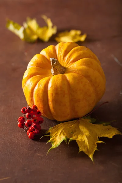 Dekorative Mini-Kürbisse und Herbstblätter für Halloween — Stockfoto