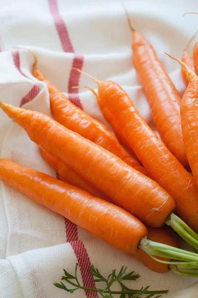 Сырой морковный овощ на полотенце — стоковое фото
