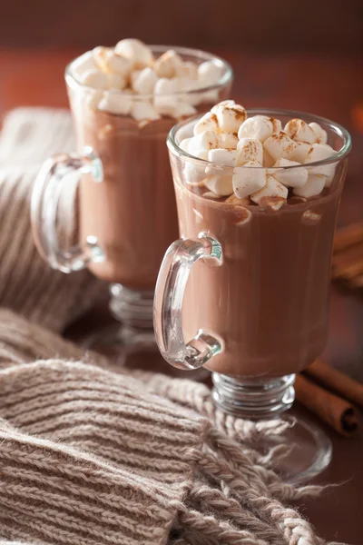 Varm choklad med mini marshmallows kanel vintern drink — Stockfoto