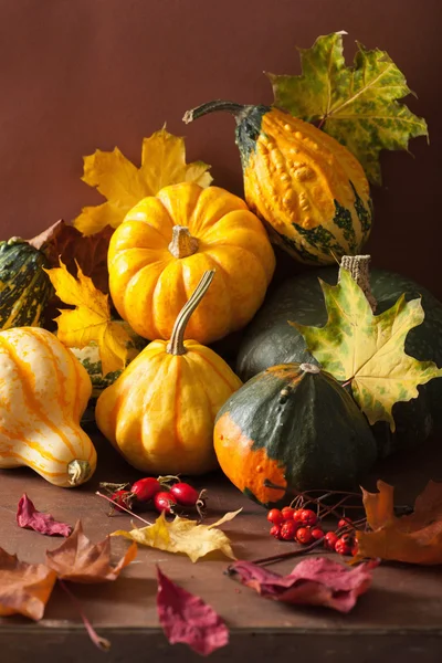 Decorative mini pumpkins autumn leaves for halloween thanksgivin — Stock Photo, Image