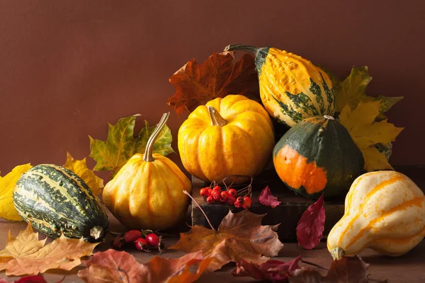 Dekorative Mini-Kürbisse Herbstblätter für Halloween Thanksgivin — Stockfoto