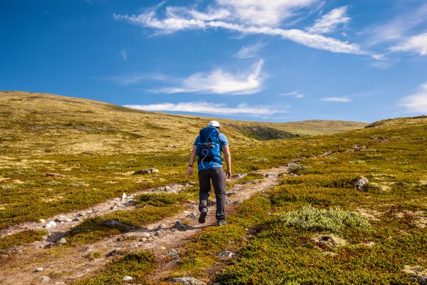 Wandelaar met rugzak reizen in Noorwegen bergen Dovre — Stockfoto