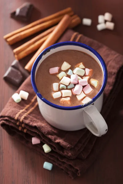 Hot chocolate with mini marshmallows cinnamon winter drink — Stock Photo, Image