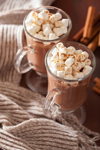 Heiße Schokolade mit Mini-Marshmallows-Zimt-Wintergetränk — Stockfoto