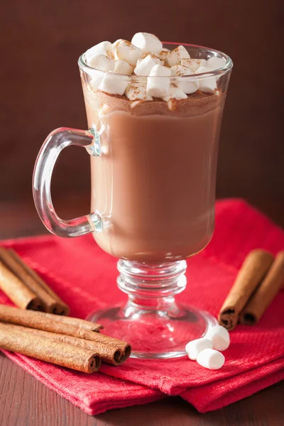 Varm choklad med mini marshmallows kanel vintern drink — Stockfoto
