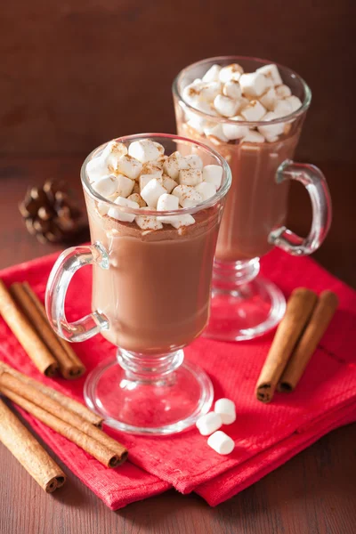 Varm choklad med mini marshmallows kanel vintern drink — Stockfoto