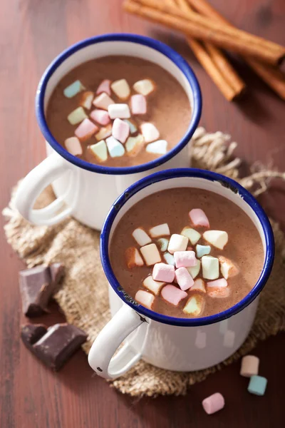 Hot chocolate with mini marshmallows cinnamon winter drink — Stock Photo, Image