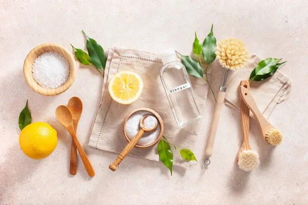 zero waste eco friendly cleaning concept. wooden brushes, lemon, baking soda, vinegar