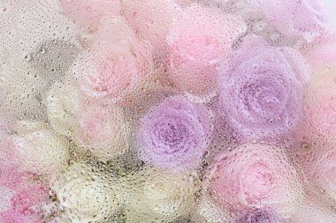 Su damlaları arkaplanlı güzel pembe gül çiçekleri.