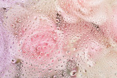 Su damlaları arkaplanlı güzel pembe gül çiçekleri.