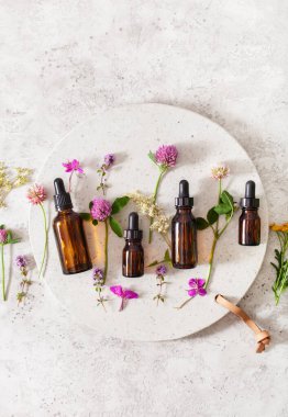 Tıbbi çiçek bitkileri şişelerdeki temel yağlar. Alternatif tıp Yonca folyo tansy rosebay