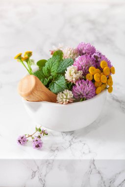 Tıbbi bitkiler havanda. Alternatif tıp Yonca tansi kekik Melissa.