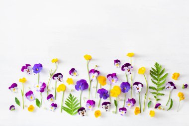 Güzel, yumuşak, mor, yaz çiçekleri bembeyaz.