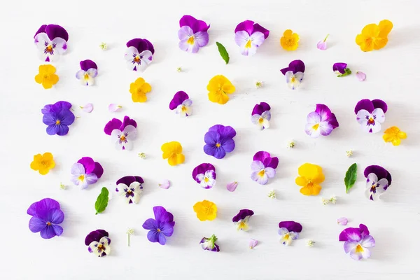 Όμορφη Πανσές Βιολετί Λουλούδια Καλοκαίρι Flatlay Λευκό — Φωτογραφία Αρχείου