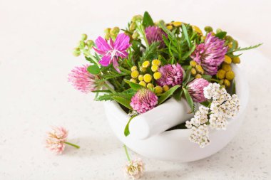 Tıbbi bitkiler havanda. Clover Milfolyo tansy Rosebay. sağlıklı doğal yaşam tarzı