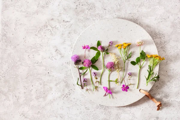 Medical Flowers Herbs Alternative Medicine Healthy Lifestyle Clover Milfoil Tansy — Stock Photo, Image