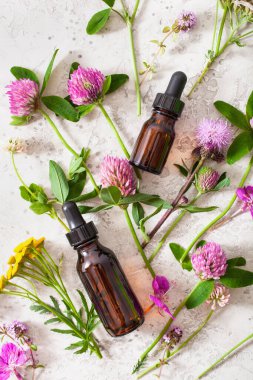 Tıbbi çiçek bitkileri şişelerdeki temel yağlar. Alternatif tıp Yonca folyo tansy rosebay