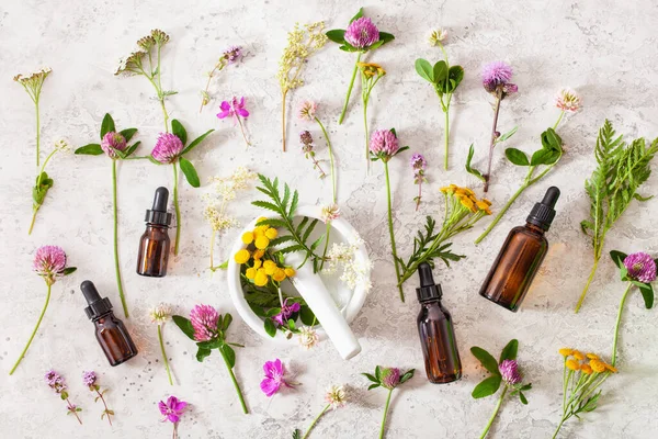 Léčivé Květiny Byliny Esenciální Oleje Lahvích Alternativní Medicínu Jetel Milfoil — Stock fotografie