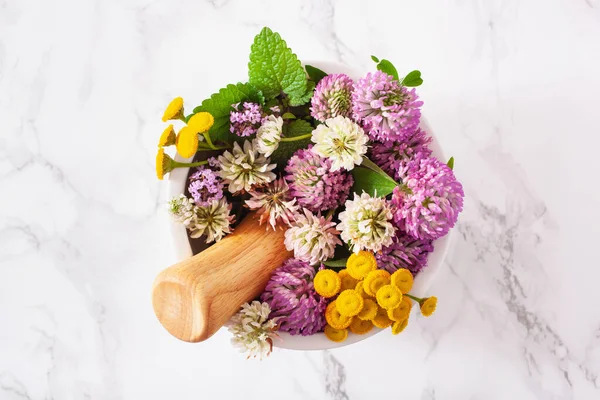 Medical Flowers Herbs Mortar Alternative Medicine Clover Tansy Thyme Melissa — Stock Photo, Image
