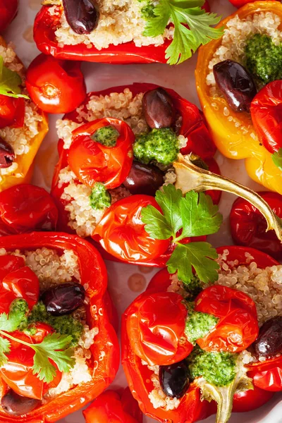 Peperoni Ripieni Con Quinoa Pomodori Olive Salsa Alle Erbe Chimichurri — Foto Stock