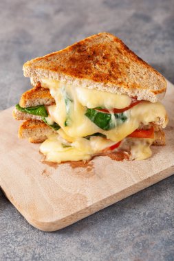 Izgara peynirli ıspanak ve domatesli sandviç.