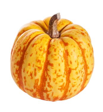 sonbahar halloween pumpkins izole