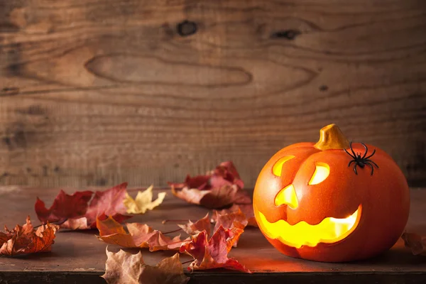 Halloween Jack O Lantern pumpkin spiders — Stock Photo, Image