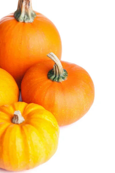 Herfst halloween pompoenen geïsoleerd — Stockfoto