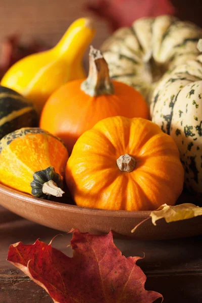 Autumn halloween pumpkins on wooden background Royalty Free Stock Photos