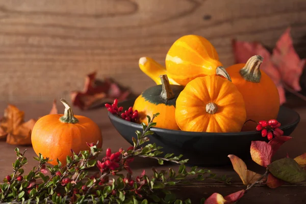 Dekorative Kürbisse und Herbstblätter für Halloween — Stockfoto