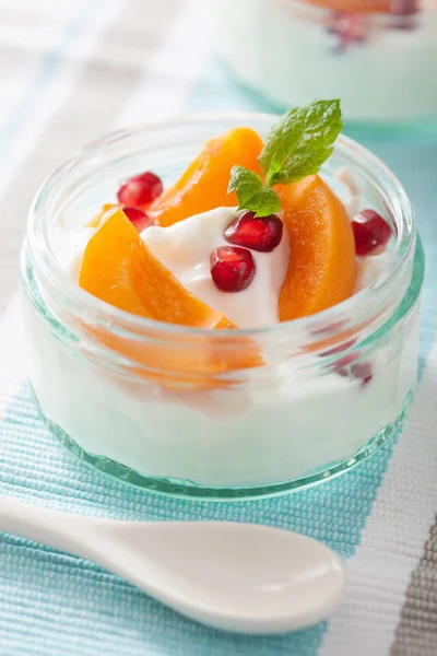 Gesundes Frühstück mit Joghurt-Aprikose-Granatapfel — Stockfoto