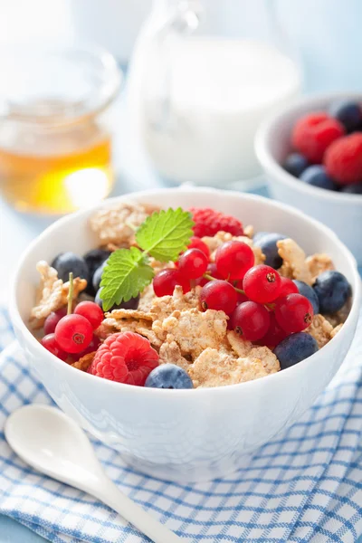 Zdrowe śniadanie z płatków kukurydzianych i jagoda — Zdjęcie stockowe