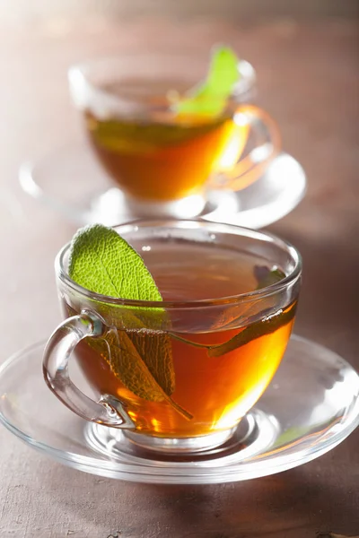 Té de hierbas con hoja de salvia — Foto de Stock