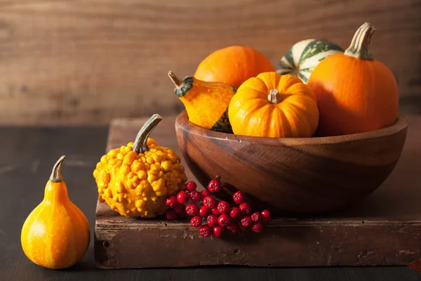 Citrouilles décoratives et feuilles d'automne pour Halloween — Photo